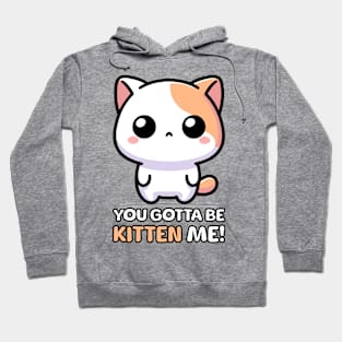 You Gotta Be Kitten Me! Cute Cat Pun Hoodie